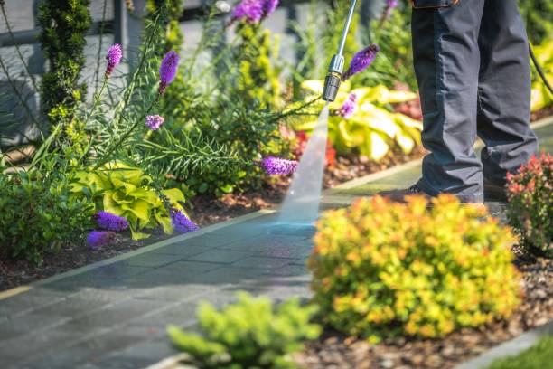 Professional Pressure Washing Services in Lutz, FL
