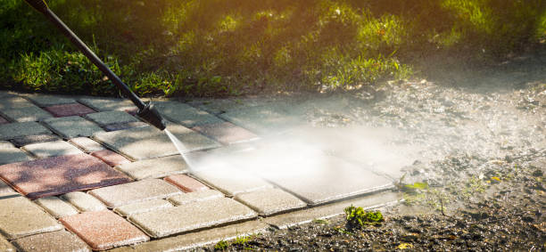 Best Fleet Vehicle Washing  in Lutz, FL